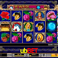 ubbet Rio de Janeiro - Bonus Terms